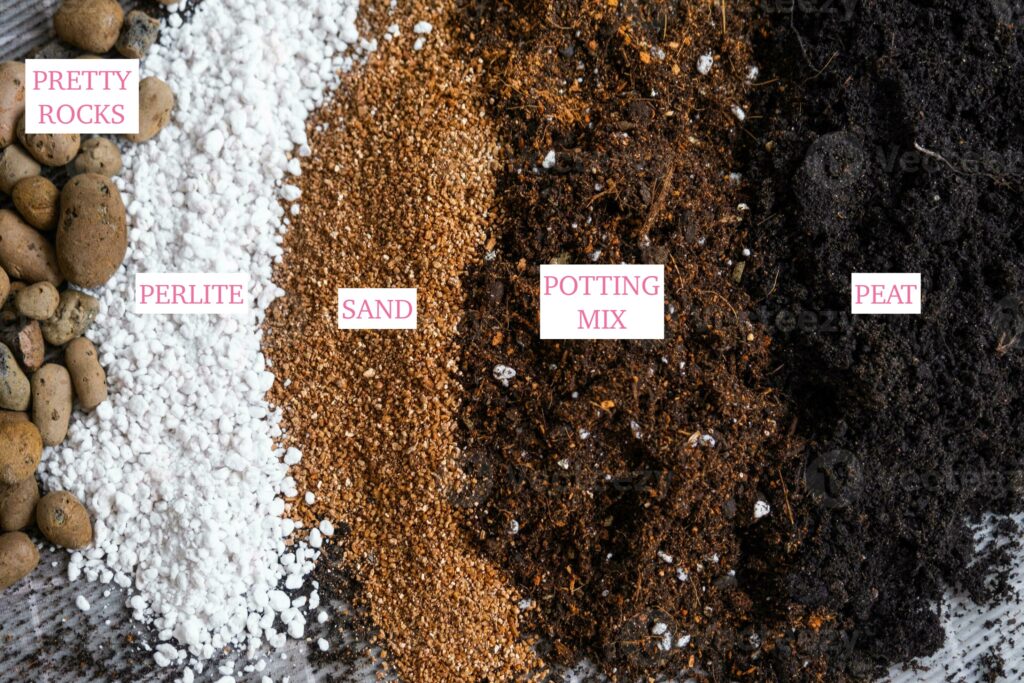 Best Soil Mix For Indoor Plants