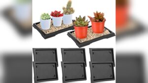 Pebble Tray for Indoor Plants: Essential Tips for Healthy Plant Care