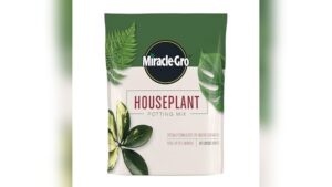 The Best Potting Soil for Indoor Plants