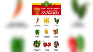 What Size Grow Bag for Peppers: Ultimate Guide for Perfect Growth