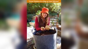 What Size Grow Bags for Potatoes: Ultimate Guide for Big Harvests