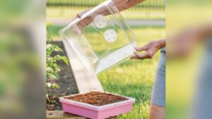 When to Open Vents on Humidity Dome: Essential Timing Tips