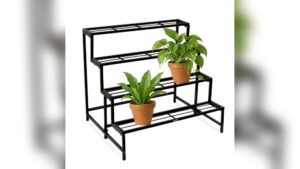 Where to Buy Plant Stand: Top Spots for Stylish Displays