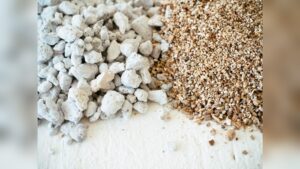 Which is Better Perlite Or Vermiculite: Ultimate Growing Medium Showdown