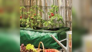 are grow bags reusable.jpg