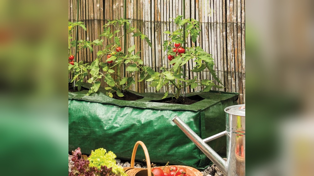 are grow bags reusable.jpg