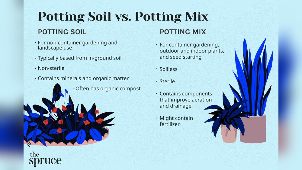 can i use outdoor potting mix for indoor plants.jpg