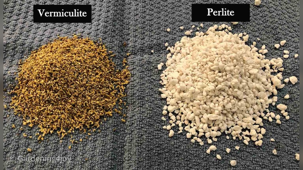 can i use perlite instead of vermiculite.jpg