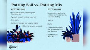 can you use indoor potting mix for outdoor plants.jpg