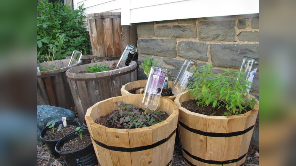 do it yourself plant waterer.jpg