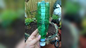 do it yourself plant watering system.jpg