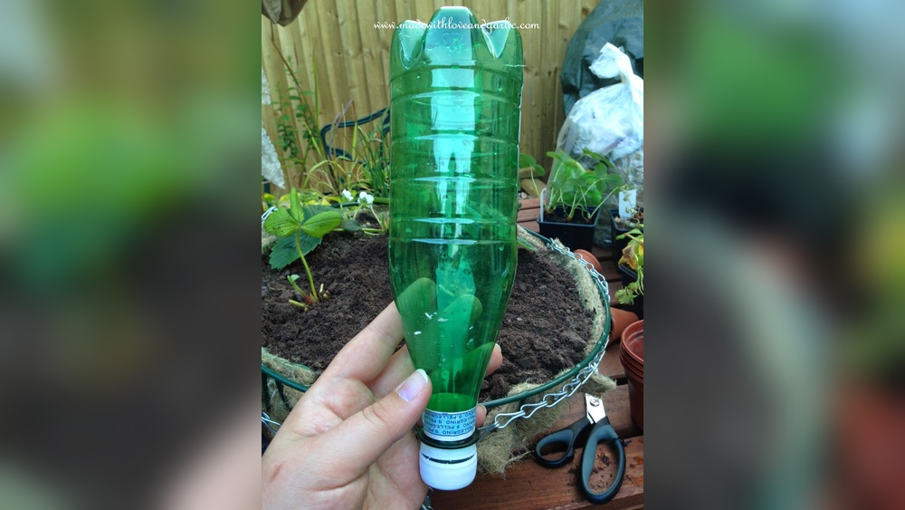 do it yourself plant watering system.jpg