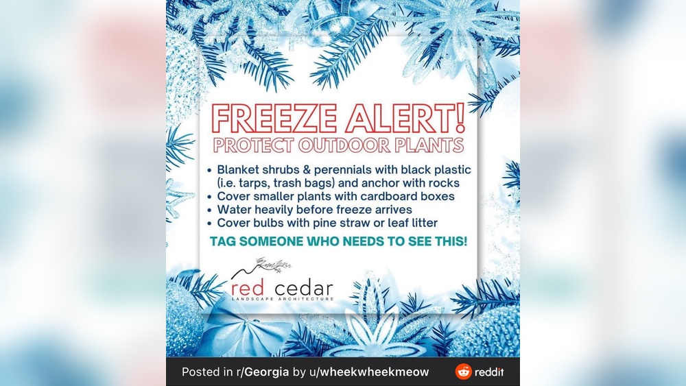 does watering plants prevent freezing.jpg