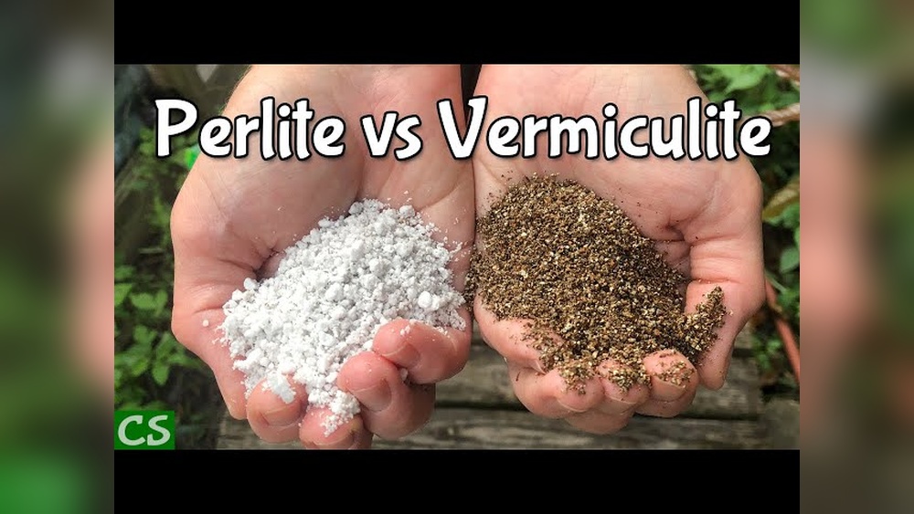 is perlite the same as vermiculite.jpg