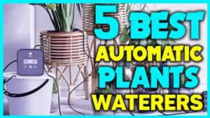 top 5 best automatic watering system for plants self watering system for plants.jpg