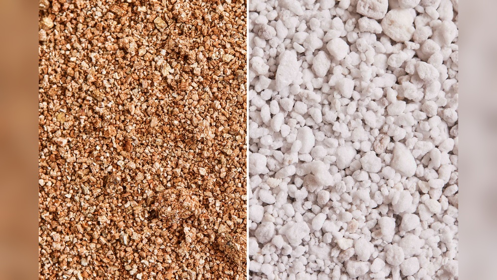 vermiculite versus perlite.jpg