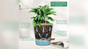 what is a self watering plant.jpg