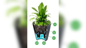 what is a self watering planter.jpg