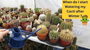 when to start watering plants after winter.jpg
